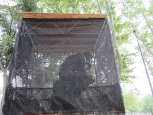 The Thinker in His Cage