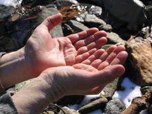 open hands